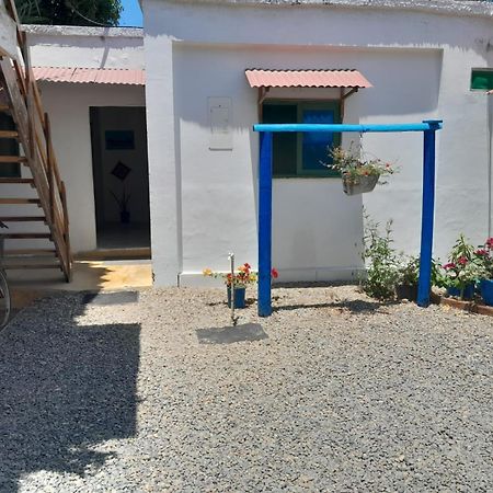Hostal Paloma Cafe Palomino Exterior photo