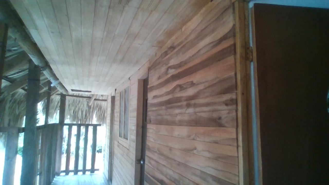 Hostal Paloma Cafe Palomino Exterior photo