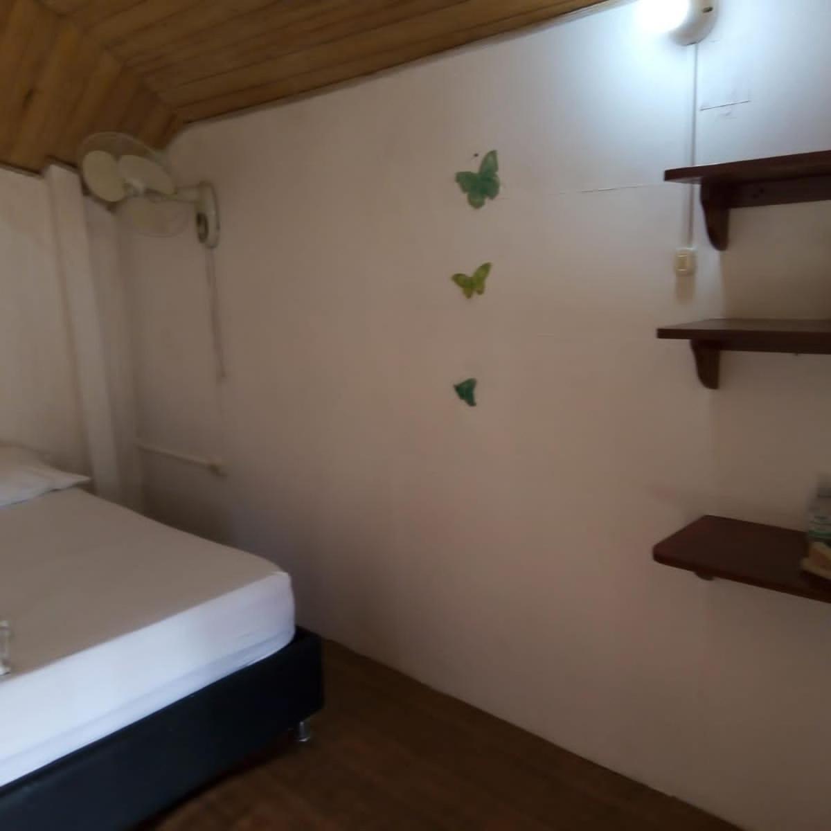 Hostal Paloma Cafe Palomino Exterior photo